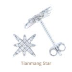 Star Post Moissanite Earrings - Image 5