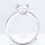 Double Row Design Bull Head Style Moissanite Ring - Image 2