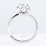 Crown Fairy Tale Moissanite Engagement Ring - Image 2