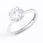 Crown Fairy Tale Moissanite Engagement Ring - Image 3