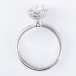 Anemine Round Moisanite Ring - Image 3