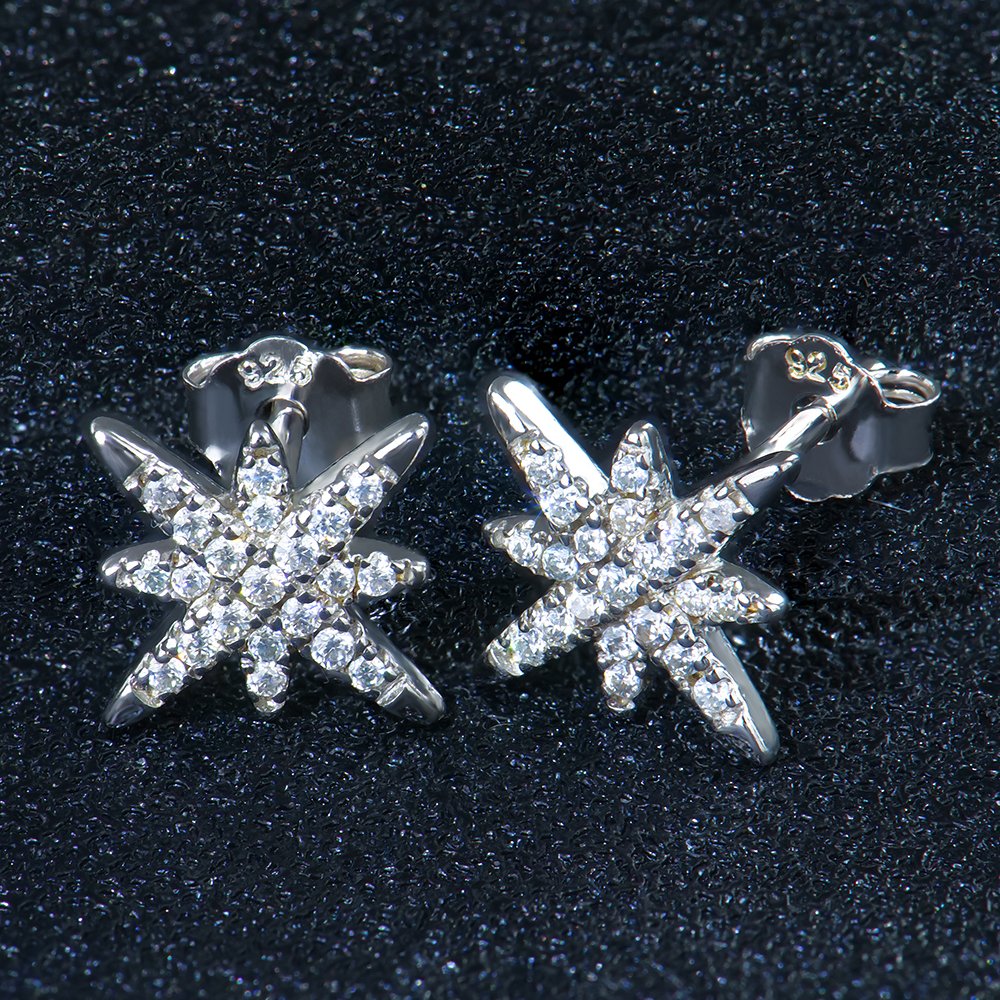 P1955625 拷贝 Star Post Moissanite Earrings - Image 1