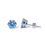 Klein Blue Moissanite 925 Silver Earrings