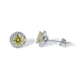 Halo Fancy Canary Yellow Moissanite Studs Earrings