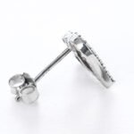 Moissanite Have Mutual Affinity Earrings - Image 5