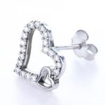 Moissanite Have Mutual Affinity Earrings - Image 4