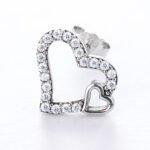 Moissanite Have Mutual Affinity Earrings - Image 2