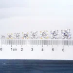 Moissanite Stud Earrings – 4-Prong Round Cut Screw Back 925 Silver - Image 4