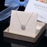 Luxury Double Halo Moissanite Pendant Necklace 925 Silver - Image 2